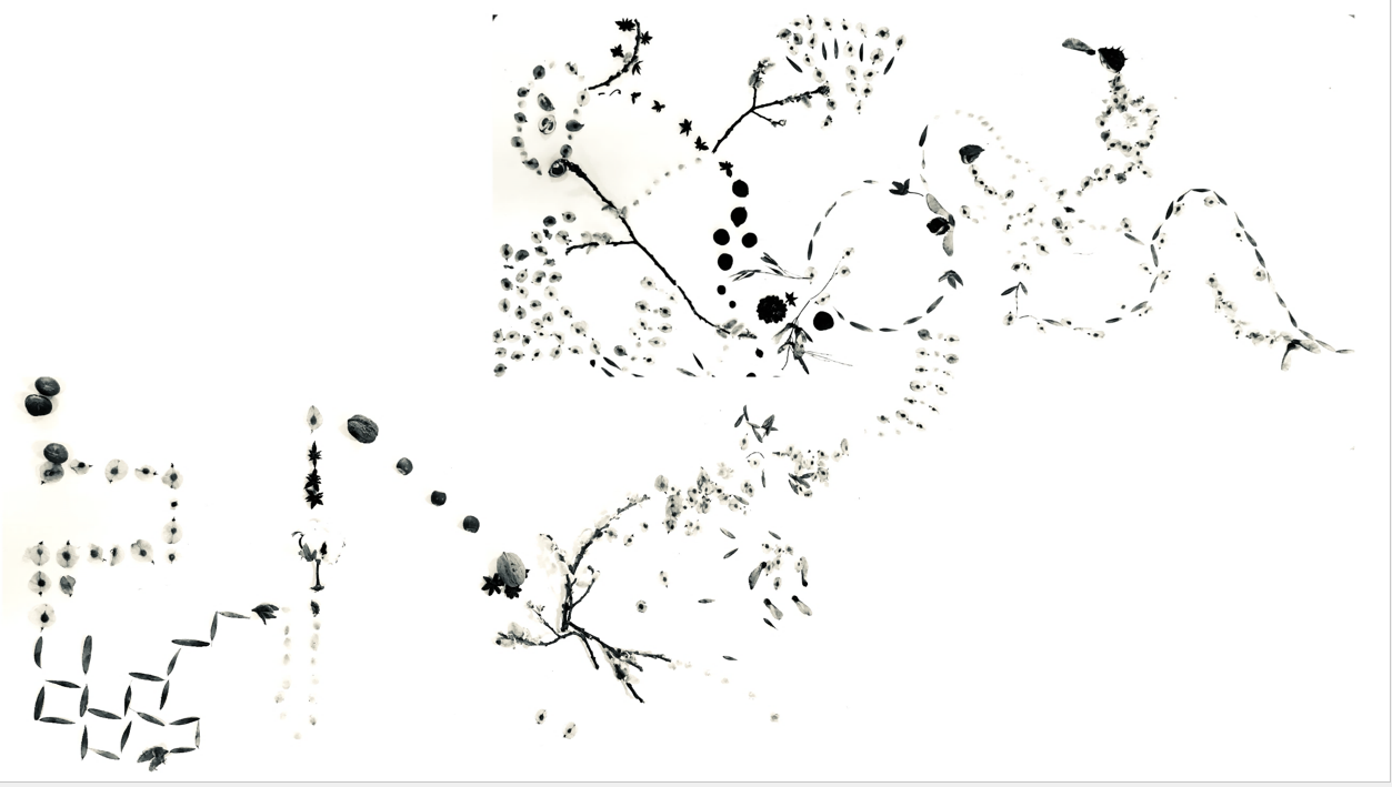 Ny nettside under utvikling